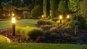 Backyard Outdoor Lighting System